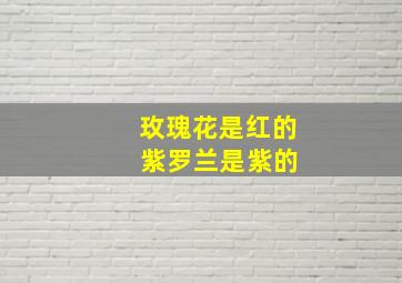 玫瑰花是红的 紫罗兰是紫的